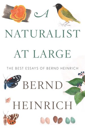 Specialty-finalist-A-Naturalist-at-Large-Bernd-Heinrich-New-England-Society-Book-Awards.jpg